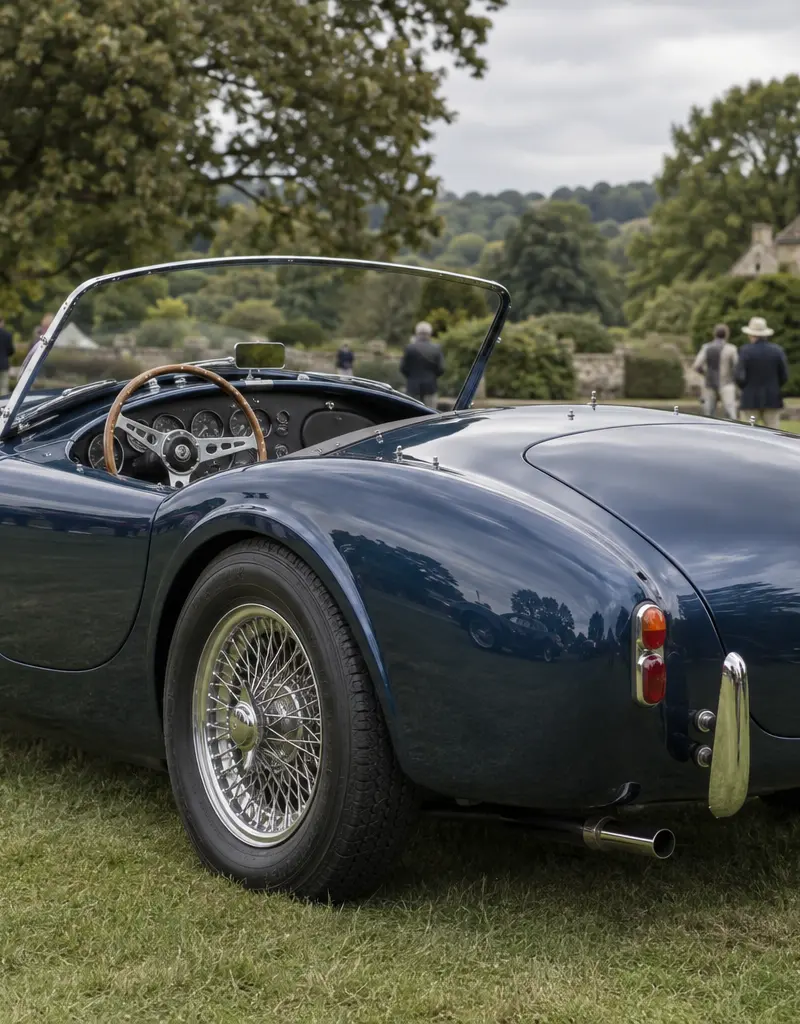 AC Cobra 289, foto 3